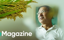 Vị Đại sứ Việt Nam bảo lãnh Iraq 'mua chịu' gạo và cuộc đàm phán dưới màn tên lửa