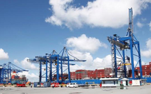 Vận tải xếp dỡ Tân Cảng chốt quyền trả cổ tức tiền mặt tỷ lệ 42%