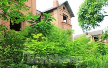 Bắc Ninh: Biệt thự tiền tỷ bỏ hoang thành nơi nuôi thả gà nhiều năm