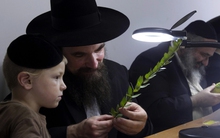 Vì sao bố mẹ người Do Thái không bao giờ hỏi “Hôm nay con đã học gì trên trường?”