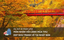 Khám phá nơi đón mùa thu sớm nhất Nhật Bản: Du khách "mãn nhãn" với cảnh lá vàng đẹp như tranh