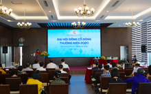 VMG âm vốn chủ sở hữu, kinh doanh ngày càng khó khăn