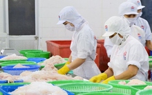 VASEP: Nhiều nhà nhập khẩu đã ngưng nhận đơn hàng đến tháng 10