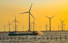 Bộ Công Thương trình lại Đề án Quy hoạch điện VIII, rà soát dự án điện than, điện khí