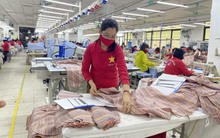 Dự báo xuất khẩu sang các thị trường đã có FTA khả quan