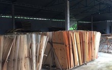 Ngành gỗ lên tiếng về cáo buộc lẩn tránh thuế