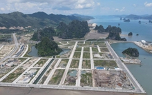 Mai Quyền - Chủ dự án 'hòn non bộ' ở Vân Đồn là ai?