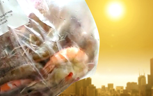 Nắng nóng ở Trung Quốc làm tôm tự chín trên đường từ chợ về nhà