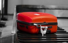 Hành lý không người nhận ở sân bay sẽ trôi về đâu?