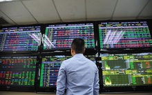 Nhà đầu tư chứng khoán sẽ chính thức được giao dịch T+2 từ 29/8