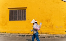 Tour du lịch hơn 3 tỷ đồng của công ty Mỹ có điểm dừng ở Hội An