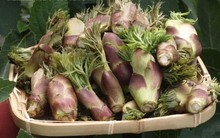 Một loại rau được mệnh danh là "vua của các loại rau rừng": Giá ngang với thịt bò nhưng bổ tựa nhân sâm, chế biến theo cách nào cũng cực ngon