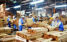 Mỹ áp thuế chống bán phá giá, doanh nghiệp xuất khẩu gỗ hoang mang
