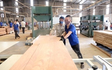 Xuất khẩu gỗ lao đao vì lạm phát cao