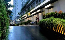 Điều tra vụ người đàn ông rơi từ tầng 31 xuống sân tử vong