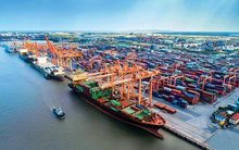 Các doanh nghiệp vận tải tiếp tục bội thu, ngành cảng phân hóa trong quý II