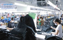 Dệt may “ăn đong” đơn hàng