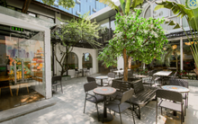 Bài học dành cho giới startup từ câu chuyện của Soya Garden