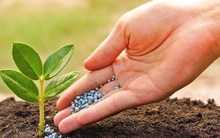 Lợi nhuận của Đạm Phú Mỹ (DPM) có thể tăng trưởng âm trong quý 4/2022