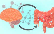 Khi lo lắng bụng dạ thường cồn cào: Lí do ở mối quan hệ giữa não và đường ruột