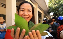 Độc đáo khu chợ đồ ăn, thảo dược ở Miền Tây chỉ giao dịch bằng... lá cây