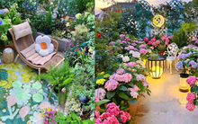 Chỉ tốn 5 tháng, sân thượng 30m² biến thành khu vườn phủ kín hoa tươi vô cùng lãng mạn
