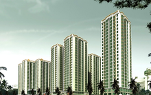 Sắp được rót thêm 1.000 tỷ đồng, cổ phiếu PTL tăng hơn 50% trong vòng 1 tháng