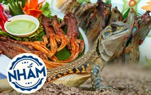 Dông nướng - Đặc sản khó quên níu chân bao thực khách của miền cát trắng