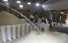 Đằng sau việc khách hàng châu Á tăng cường tích trữ ngũ cốc