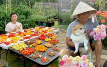 Chàng trai Việt trồng hơn 500 giống ớt, khu vườn 300 m2 ngập rau trái quê