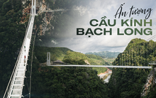 Mãn nhãn với cây cầu kính đi bộ dài nhất thế giới hùng vĩ giữa núi rừng Việt Nam