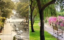 10 trải nghiệm cho bạn thưởng thức TP.HCM đầy cảm hứng dịp nghỉ lễ 2-9