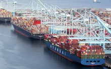 Giá cước vận tải biển có xu hướng tăng trở lại