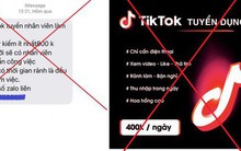 Tham gia kiếm tiền trên ứng dụng TikTok, một phụ nữ bị lừa gần 300 triệu đồng
