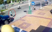 Sai sót xét nghiệm nồng độ cồn nữ sinh tử nạn: Cần làm rõ có chủ đích, chủ mưu hay không?