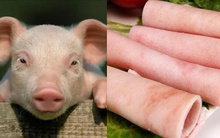 Ở con lợn có 1 thứ có thể bơm collagen, ổn định đường huyết, dưỡng mạch máu tốt nhưng nhiều người vứt bỏ