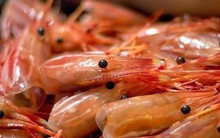 Những bộ phận 'cực độc' của tôm chứa đầy ký sinh trùng, thèm đến mấy cũng đừng nên ăn