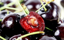 Lương y Bùi Đắc Sáng chỉ ra phần "nguy hiểm" của quả cherry cần lược bỏ khi ăn kẻo rước độc, hại sức khỏe