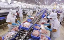 EVFTA "gỡ" hai “khúc mắc” cho kinh tế Việt Nam