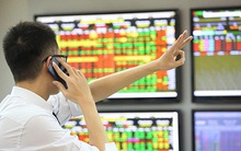 Chứng khoán Maybank: Tăng trưởng lợi nhuận 2022 có thể đạt 25%, tốc độ mạnh mẽ ở hầu hết các nhóm ngành trong nửa cuối năm