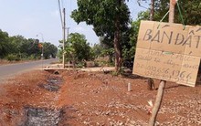 Tình trạng lừa đồng bào thiểu số bán đất rất phức tạp tại Bình Phước