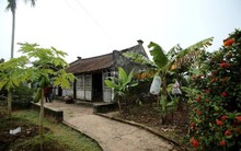 Bí mật của ngôi nhà Bá Kiến hơn 100 năm tuổi ở làng Vũ Đại