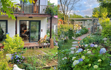 Sau 2 năm về quê, cô nàng độc thân với lối sống tự cung tự cấp khiến nhiều người nhìn mà mê