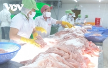 Giá mặt hàng cá tra xuất khẩu tăng