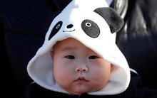 Dịch vụ thú vị ở Nhật: Thuê trẻ nhỏ khuấy động không khí viện dưỡng lão, trả công bằng bỉm và sữa