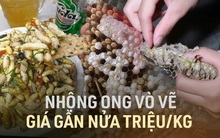 Vào mùa, nhộng ong vò vẽ giá gần nửa triệu/kg vẫn đắt hàng vì được xem như đặc sản