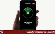 SpaceX từng đàm phán dịch vụ vệ tinh trên iPhone