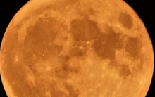 Tối nay xuất hiện Mặt trăng màu cam và tròn nhất trong 100 năm qua