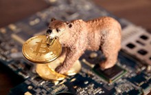 Giá Bitcoin hôm nay 12/9: Bitcoin tiếp tục tăng, sắp chạm 22.000 USD