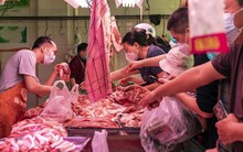 Giá thịt lợn tăng quá mạnh, Trung Quốc gấp rút dùng dự trữ quốc gia để bình ổn